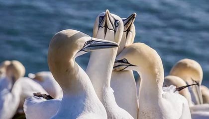 九游体育官网首页-粉丝创意：打造属于自己的赛车装饰，赛车装饰简笔画