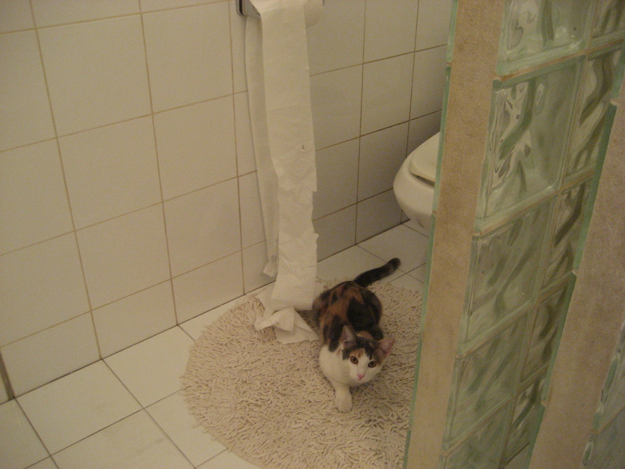 九游娱乐官网 (jiuyou)-冠军之道：冠军球队的管理与战术策略，冠军足球攻略