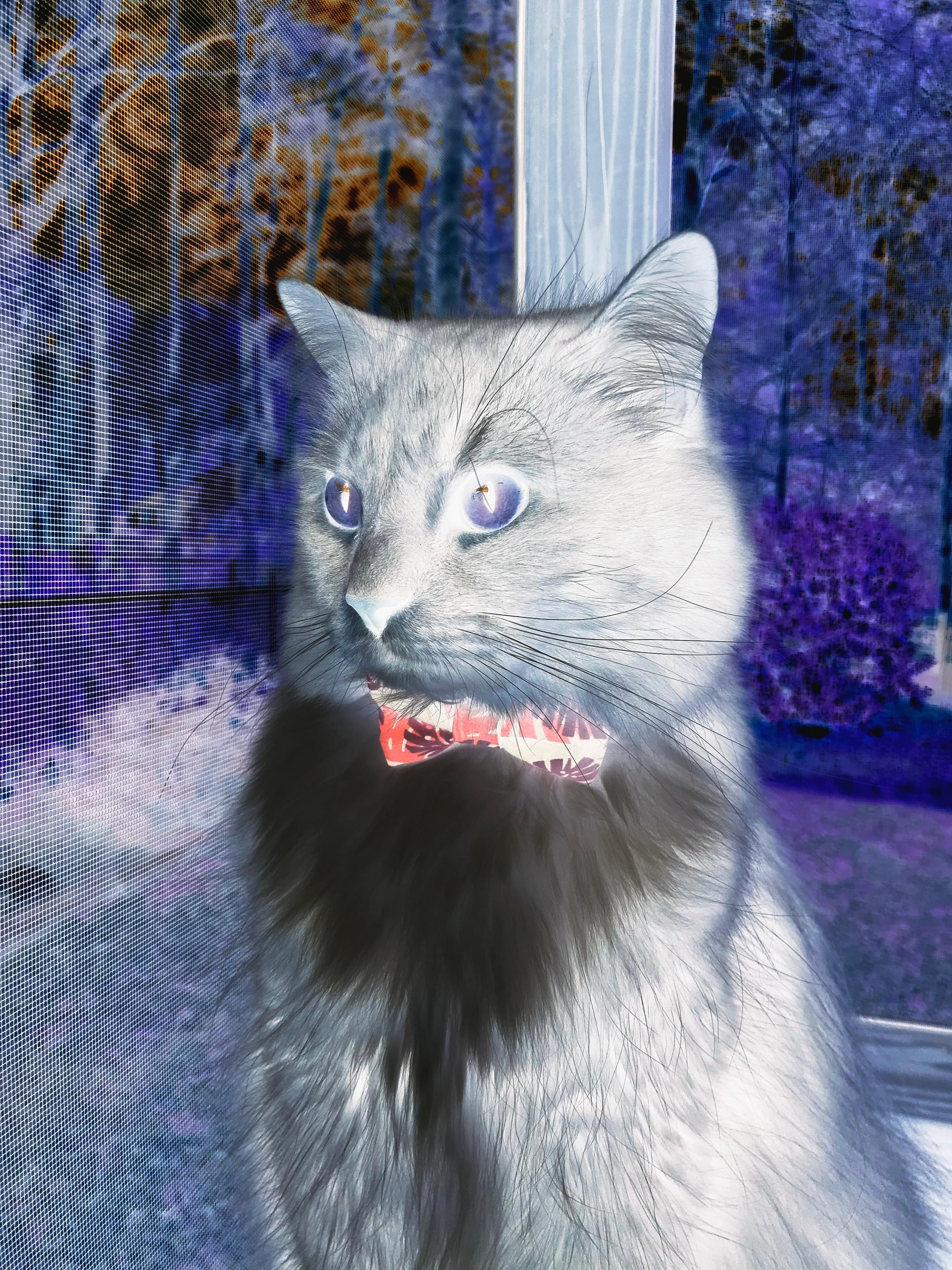 九游娱乐官网 (JIUYOU)-巴萨控球占优，逐步蚕食对手防线直至取胜，巴萨控球率达81%