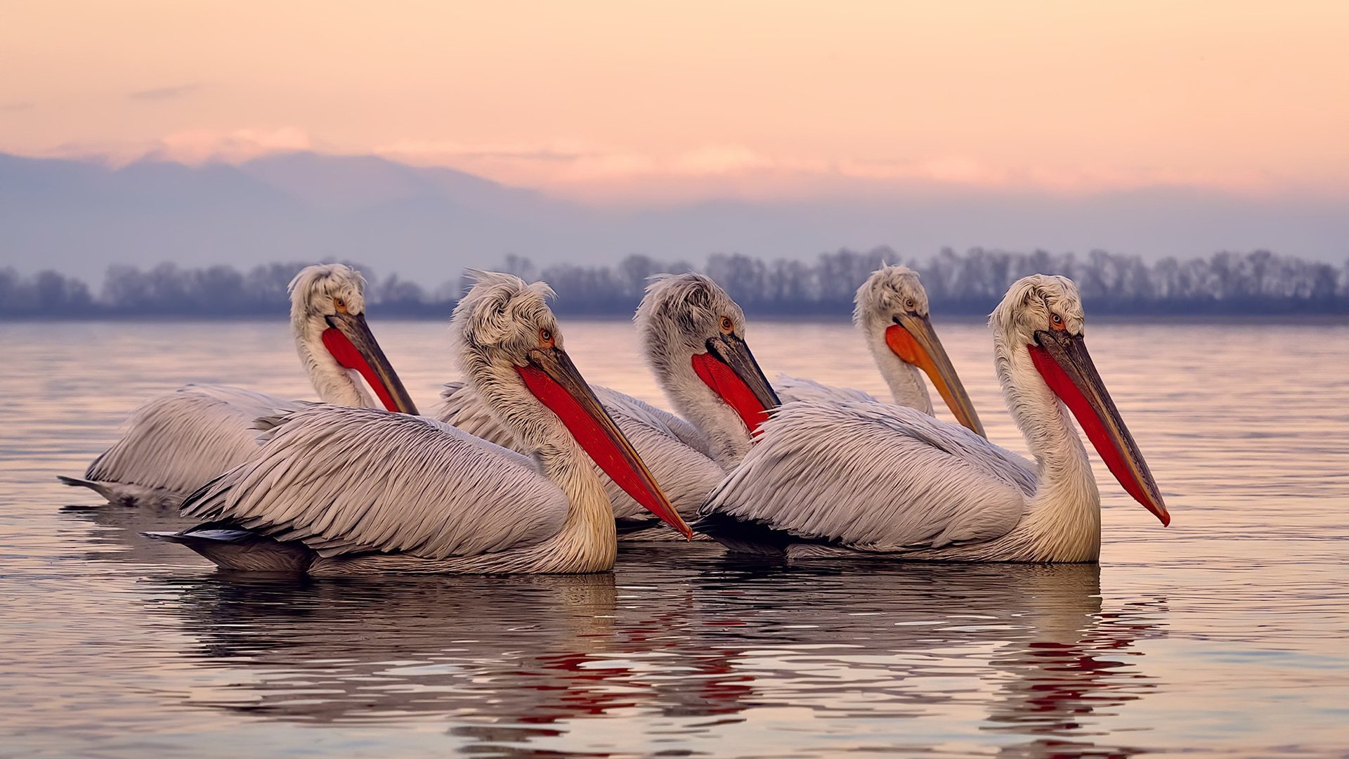 九游9游-法甲赛季斗志高昂，悬念持续升温，法甲上赛季
