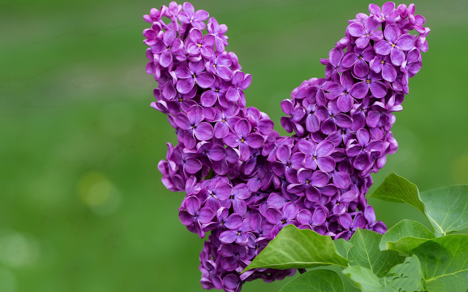 九游娱乐APP-篮球青训体系引进国际先进训练设备，篮球青训队训练计划