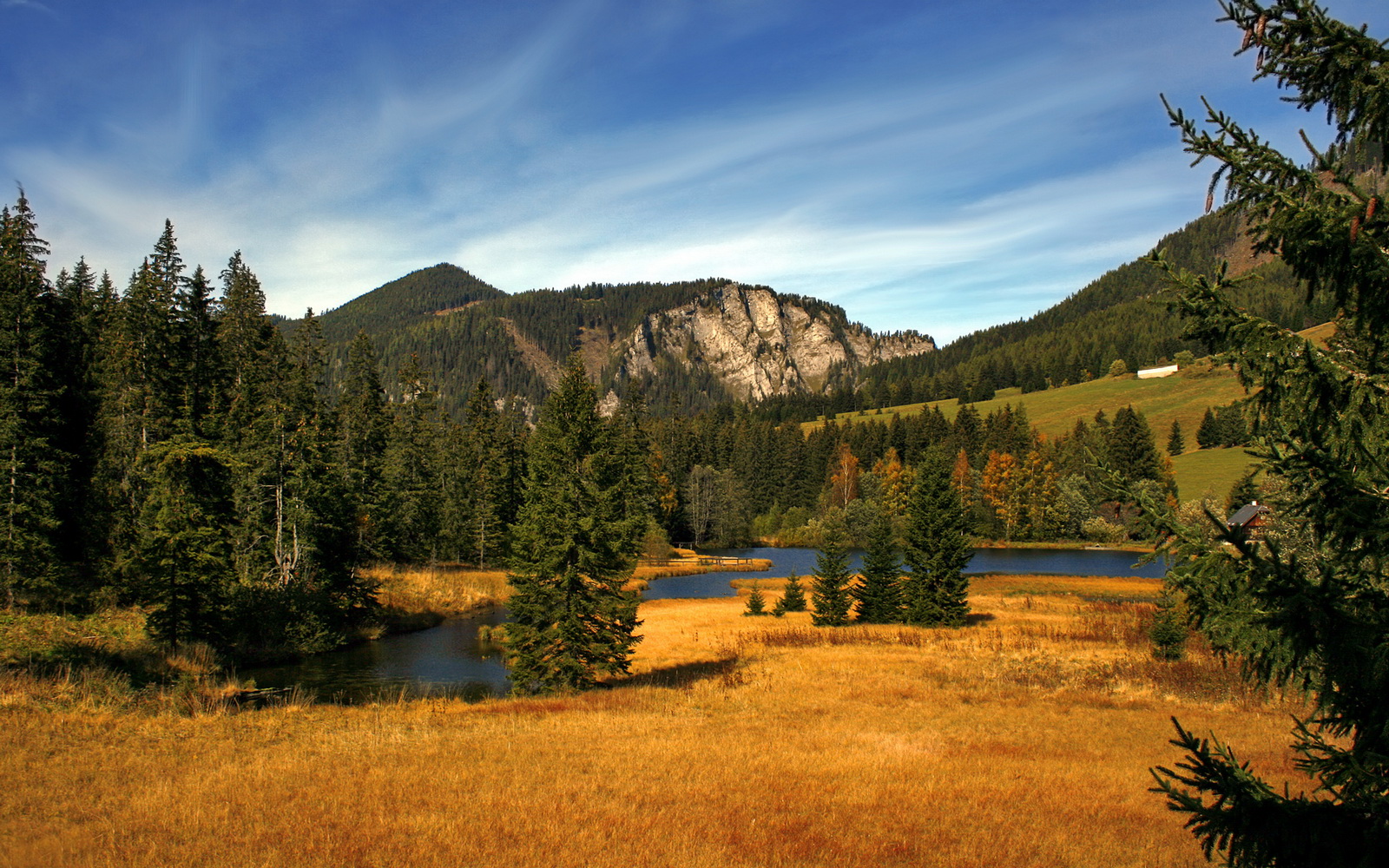 九游登录中心-利物浦在对阵莱斯特城的比赛中展现团队配合，利物浦遭莱斯特城逆转