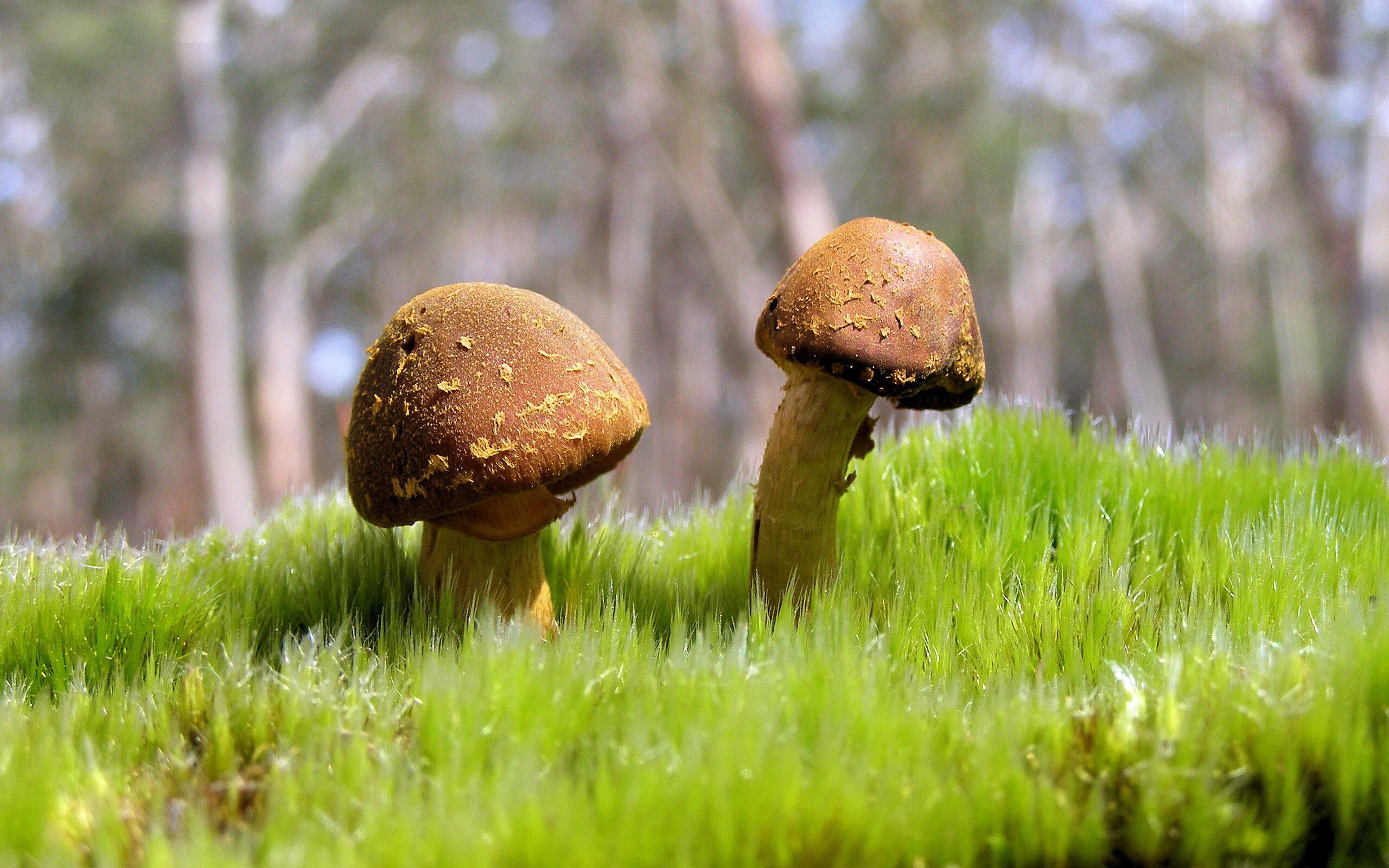 九游娱乐(jiuyou)官网-中国足球高位逼抢中传球连贯性评分，中国足球高峰