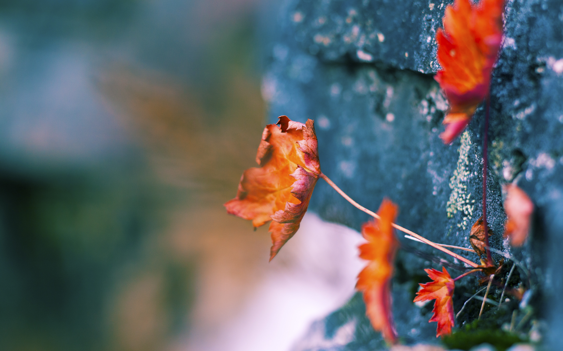 九游娱乐(jiuyou)官方网站-中超转会投入与成绩挂钩比例，中超转会费