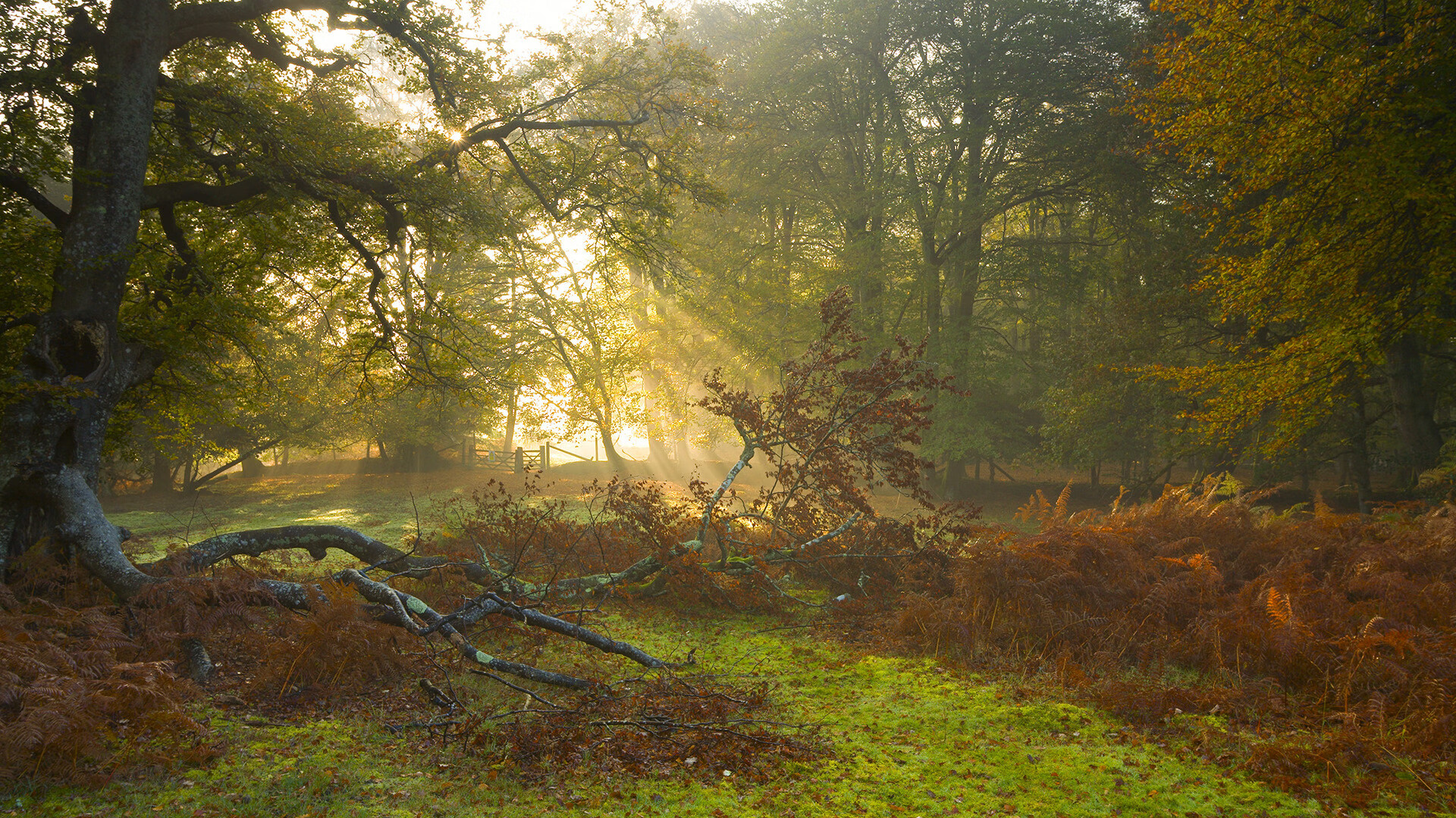 九游登录中心-中超新秀出场时间与贡献度分析，中超选秀