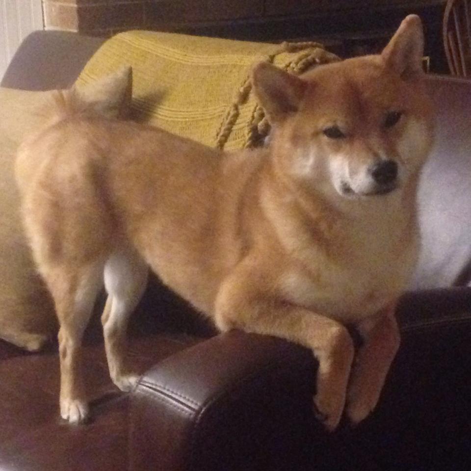 九游app官网下载-出发反应时间中立B选手位居组内前列