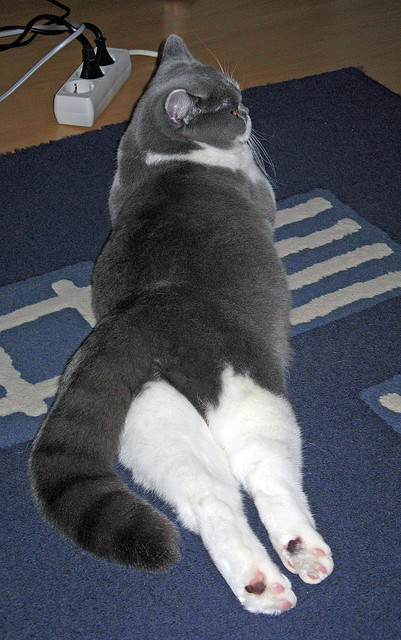 九游下载安装-强队如何针对弱点制定比赛计划，强队如何针对弱点制定比赛计划方案