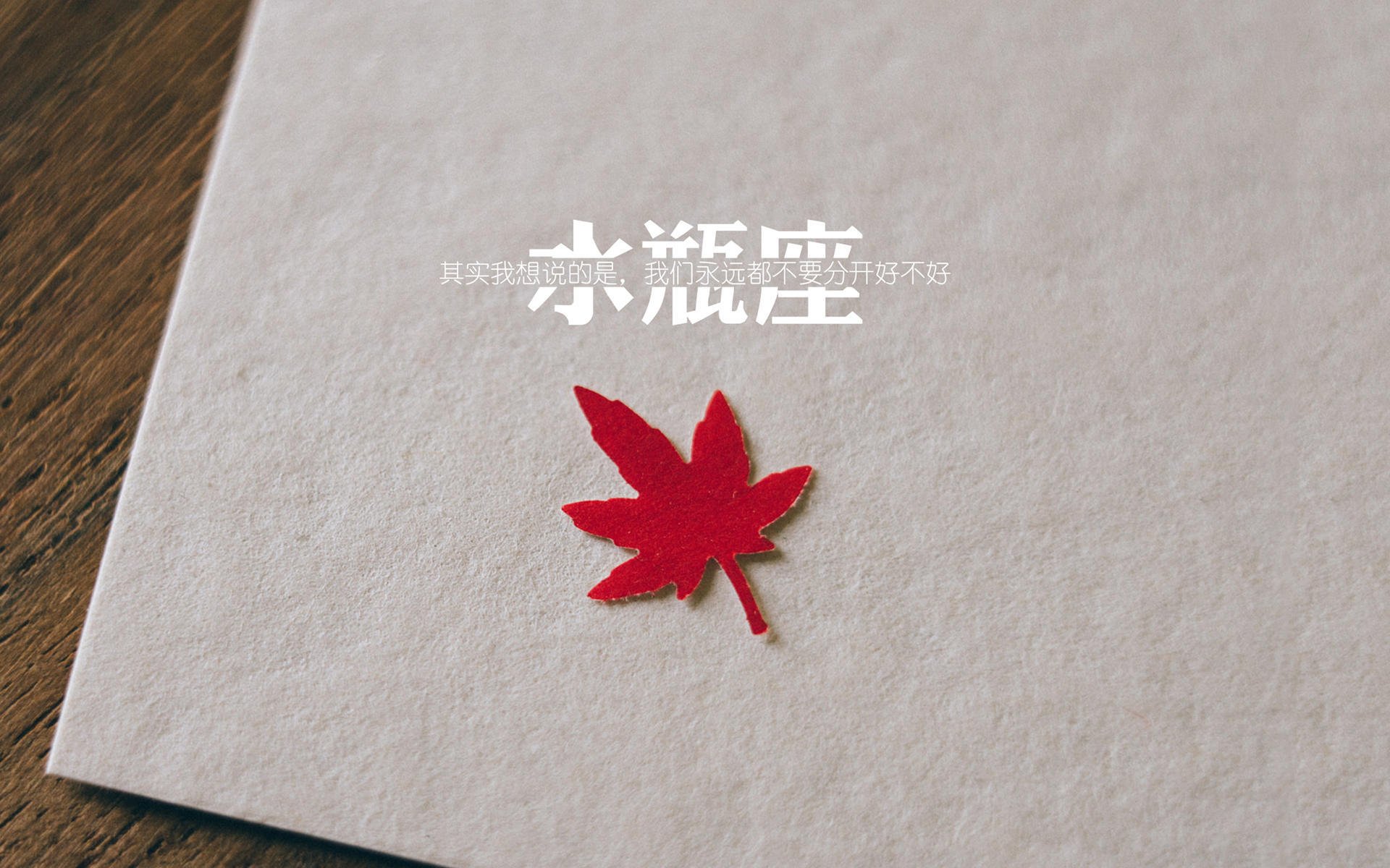 九游APP官网-萨默·麦金托什展现新生代自由泳实力，麦金托什游泳