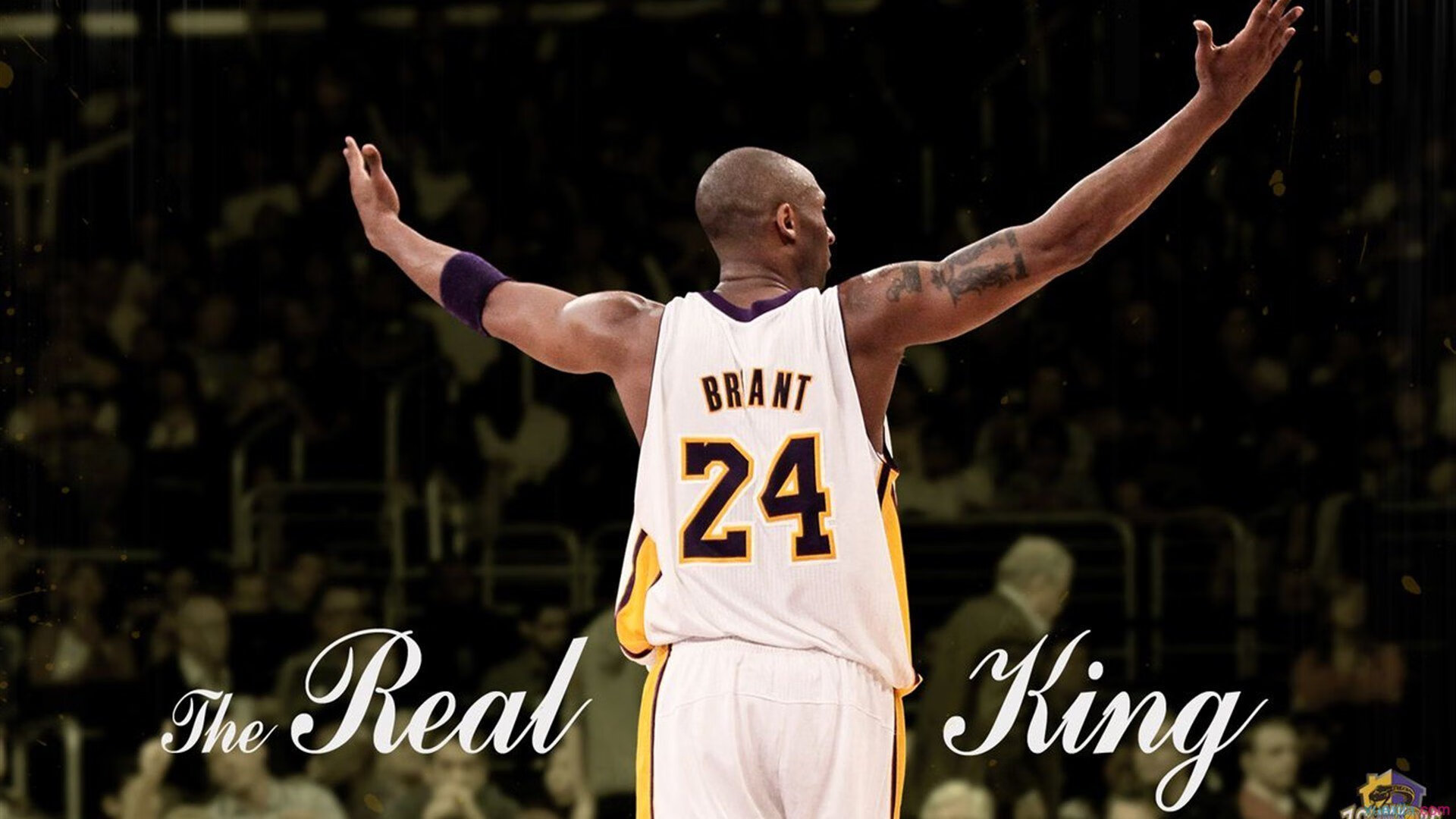 【哈珀的全垒打秀】费城明星在季中赛场主宰比赛，哈珀斯费里级